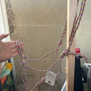 Licol Simple Rainbow - O'Créations