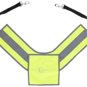 Collier de chasse réfléchissant - Covaliero