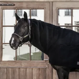 45fdb564.pngv1716236943 Couvre-Cou All Weather Confort - Kentucky