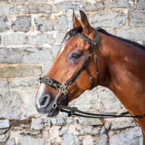 Bridon Hackamore - Dy'on