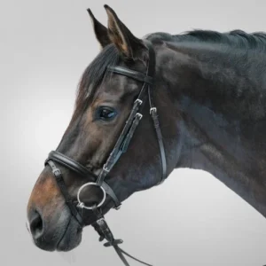 Bridon Lifestyle - Star