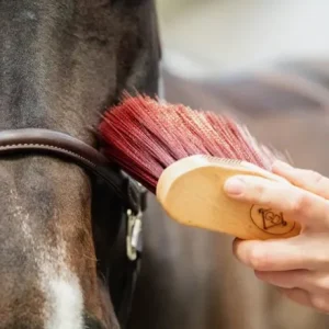 Bouchon Moyen Long - Grooming Deluxe