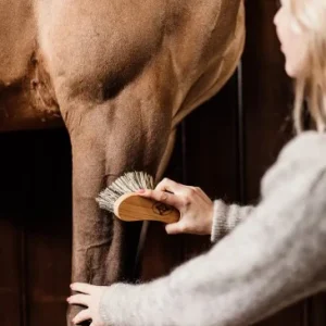 Bouchon Dur - Grooming Deluxe