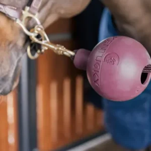 65f4f54ht.jpgv1717883172 Balle protection d'attache - Kentucky