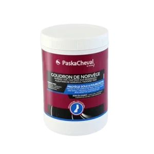 Goudron De Norvège -  Paskacheval