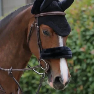 Bonnet Wellington - Kentucky