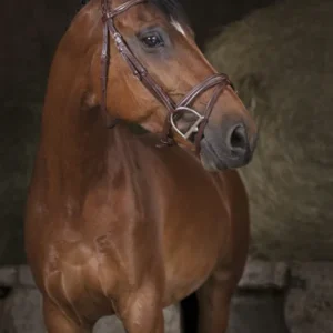 Bridon Pro "Combinée" - Norton