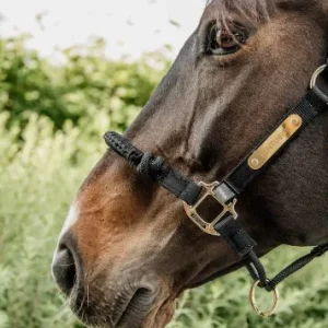 Têtière Licol de controle - Kentucky