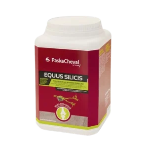 Equus Silicis - Paskacheval