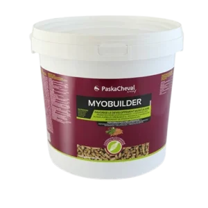 Myobuilder - Paskacheval