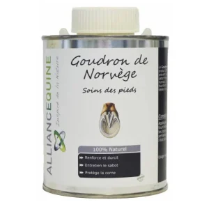 Goudron De Norvège - Alliances Équine