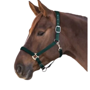 Licol Satin - Waldhausen