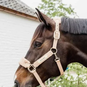 Licol Teddy Fleece - Kentucky