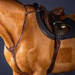 Collier De Chasse à Pont New English - Dy'on