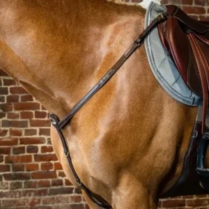 Captured_ecran2024-06-20103553.jpgv1718872650 Collier De Chasse Collection D - Dy'on