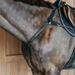 Collier De Chasse 5 Attaches Collection D - Dy'on