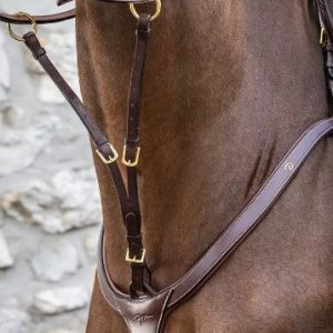 Captured_ecran2024-06-20105603.jpgv1718873810 Fourchette de Martingale A Anneaux Collection D - Dy'on