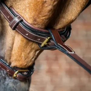 Captured_ecran2024-06-20182520.jpgv1718900766 Fourchette De Martingale Fixe Collection D - Dy'on