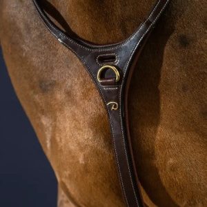 Yoke Collection D - Dy'on