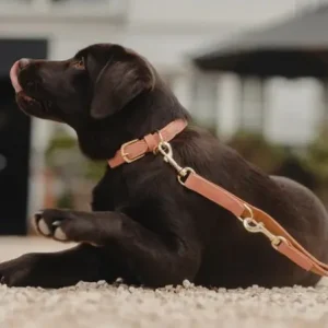 Collier Vegan Leather - Kentucky