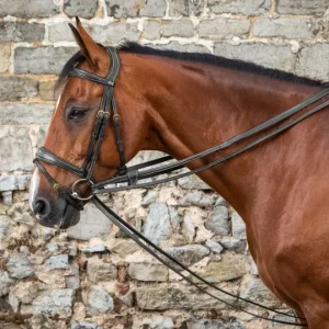 Rênes Allemande Collection D - Dy'on