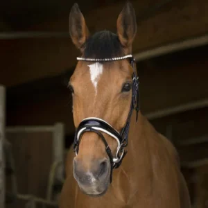 Bridon "Bella" - Norton Pro