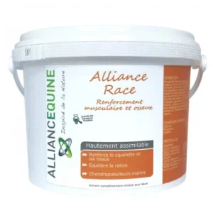 Alliance Race - Alliances Équine