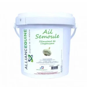 Ail Semoule - Alliances Équine