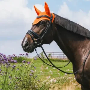 Bonnet Diamond Rope - Kentucky
