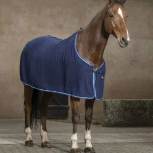 Chemise Séchante "Éponge" - Riding World