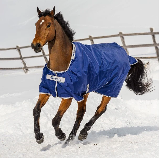 Atlantic Turnout - Bucas – Image 2