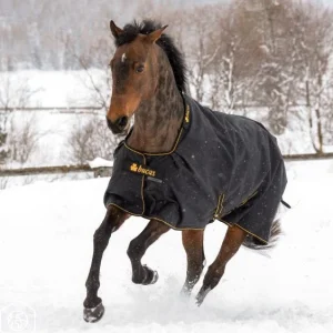 Irish Turnout - Bucas