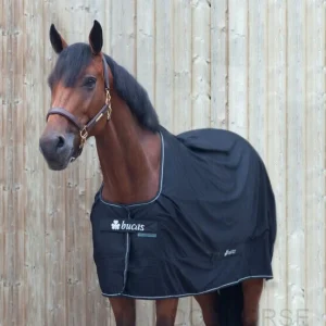 Séchante Power Cooler - Bucas