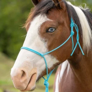 Licol Simple - Esprit Éthologie