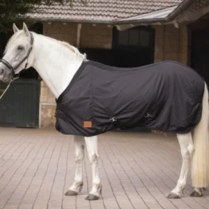 Chemise Light Mesh - Paddock Sport