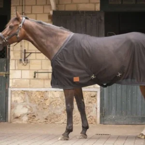 Chemise Mesh - Paddock Sport