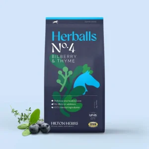Herballs n*4 Myrtille & Thym - Hilton Herbs