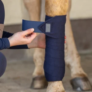 Captured_ecran2025-06-26161413.jpgv1750947437 Bande De Repos/Transport - Covalliero