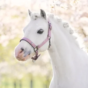 Licol Imperial Riding Rebel