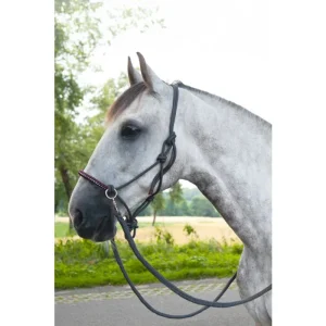 Licol corde avec rênes HKM