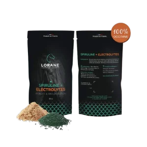 Pack-SPIRULINE-ELECTROLYTES__1_-removebg-preview.pngv1763654800 Spiruline + Electrolytes - Lorane