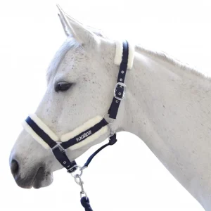 Set-licol-et-longe-Privilege-Equitation-VELTA-1.jpgv1748425750 Set licol et longe Flags&Cup VELTA