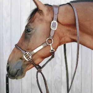 Longe De Présentation En Cuir- Kentucky