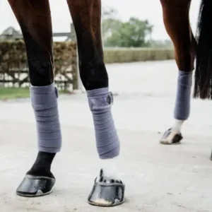 Bandes Polaire Velvet - Kentucky