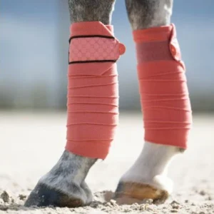 Bandes polaires HKM Rosewood