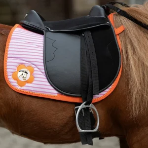 Bardette shetland HKM Funny Horses