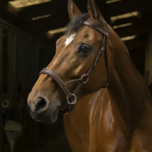 Side Pull Pro "Confort" - Norton