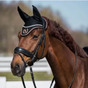 bfbdb.jpgv1698314815 Bonnet Haze Collection - Back On Track