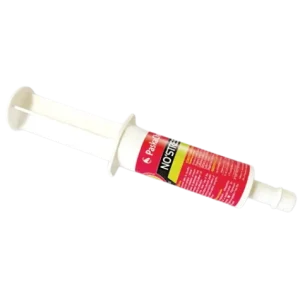 No Stress - Paskacheval