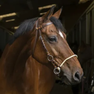 Side Pull Pro "Corde" - Norton